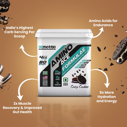 GetmyMettle Amino Ace Formulae